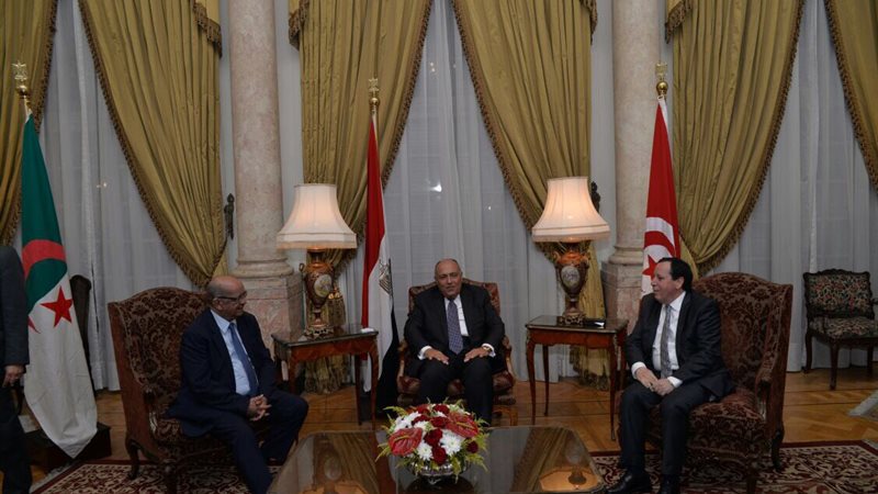 تحيا مصر