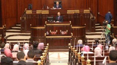 طلاب جامعة القاهرة يستعرضون قانون مكافحة التمييز بنموذج محاكاة البرلمان