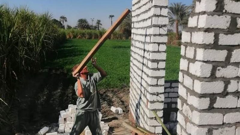 تحيا مصر