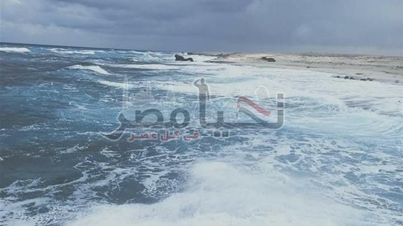 تحيا مصر