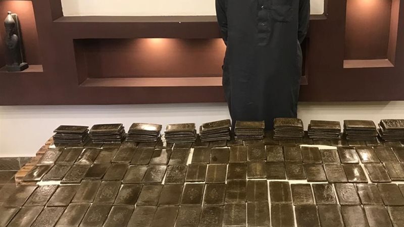 تحيا مصر