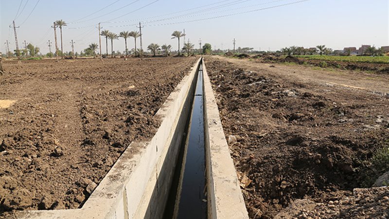 تحيا مصر