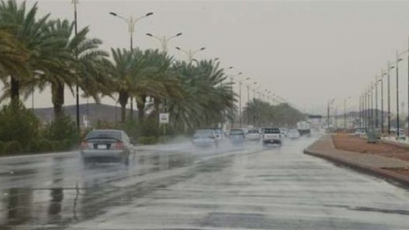 تحيا مصر