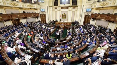 النائب عزت القاضي : الجيش المصري قادر على حماية أمننا القومي