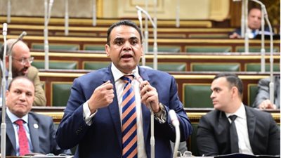 النائب نادر الخبيري: إعادة تشغيل القطارات بسيناء خطوة توفر حياة كريمة لأهالي أرض الفيروز