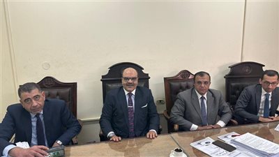 القاضي أحمد فتحي عبد العال يقضي بحبس شخص 15عامًا لخطف طفلة