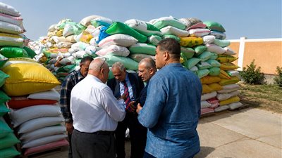  البنك الزراعي المصري يتسلم 464 ألف طن قمح بقيمة 7.2 مليار جنيه خلال شهر 