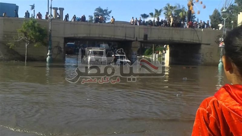 تحيا مصر