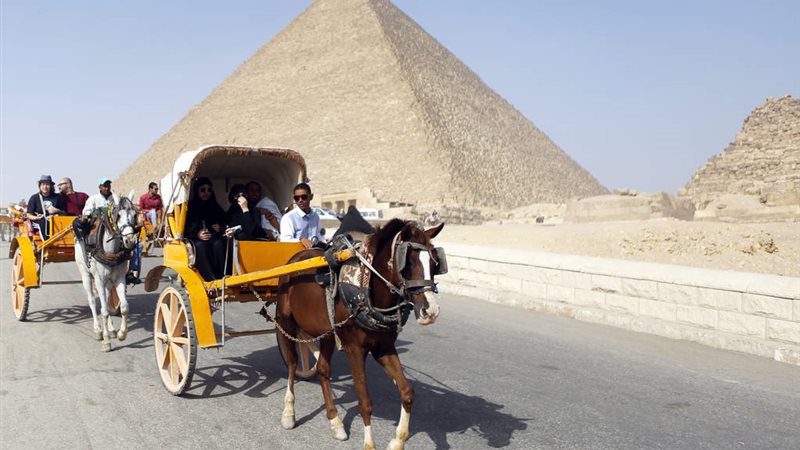 تحيا مصر
