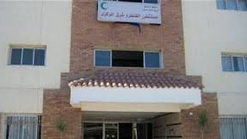 تحيا مصر