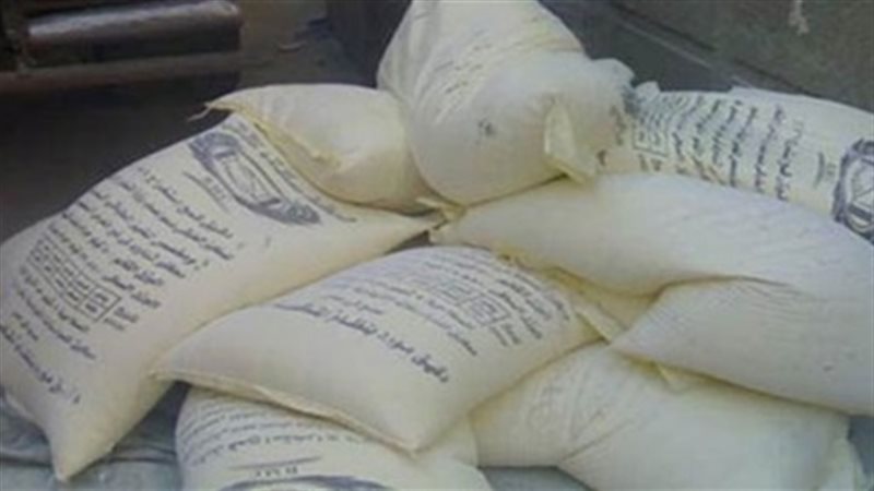 تحيا مصر