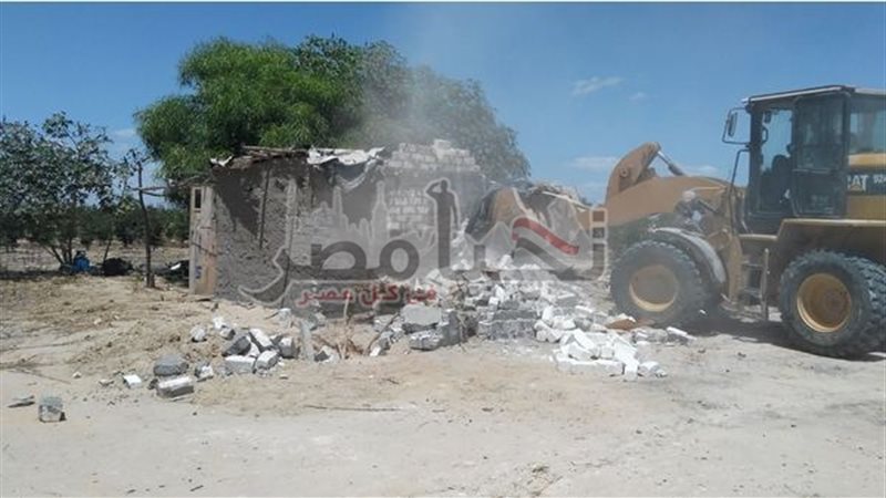 تحيا مصر