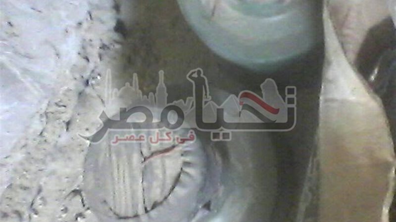 تحيا مصر