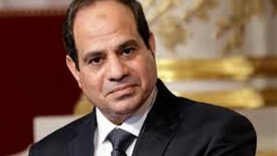 ''السيسي'': القضية الفلسطينية تحتاج لجهد جبار.. وإسرائيل تزداد قناعتها بعملية السلام