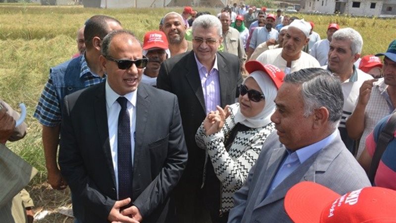 أرشيفية
