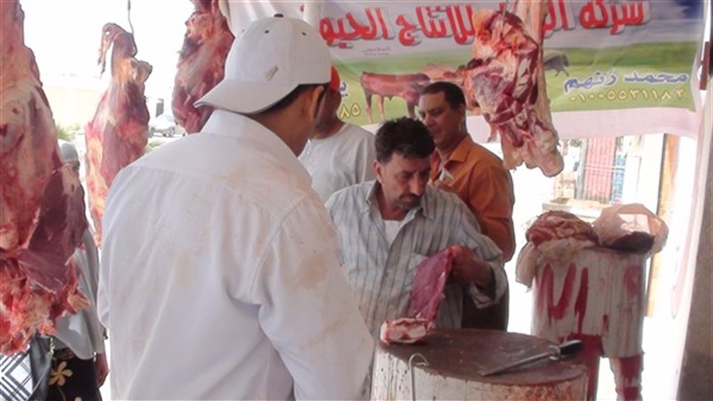 تحيا مصر
