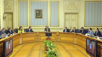 الوزراء : لن نسمح بدخول أقماح تتعدى نسبة «الآرجوت» بها المقرر عالميًا