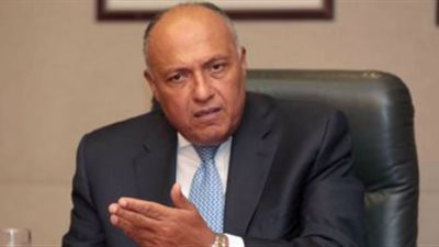 وزير الخارجية يفتتح منتدى الأعمال المصرى- النمساوى فى فيينا