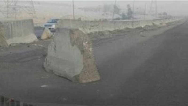 تحيا مصر