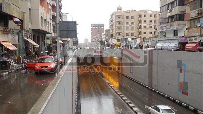 تحيا مصر