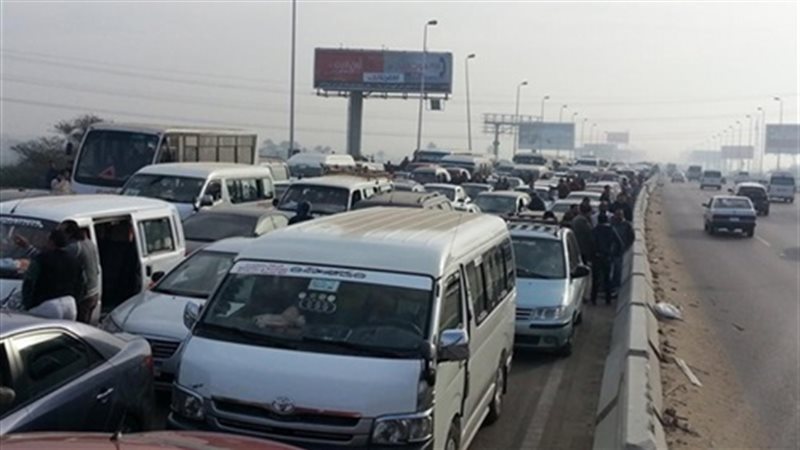 تحيا مصر