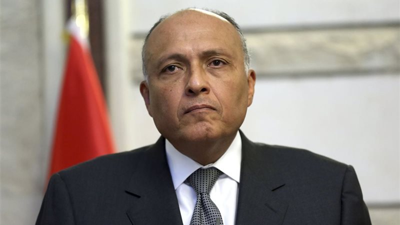 تحيا مصر