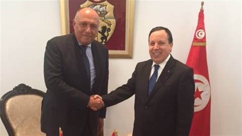 تحيا مصر
