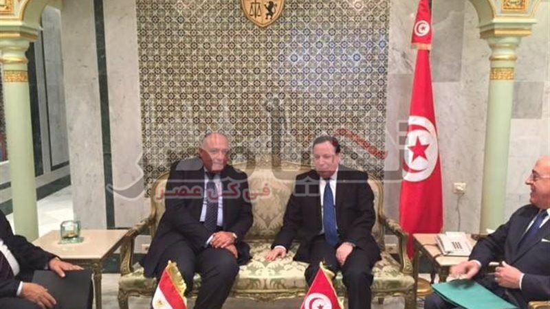 تحيا مصر