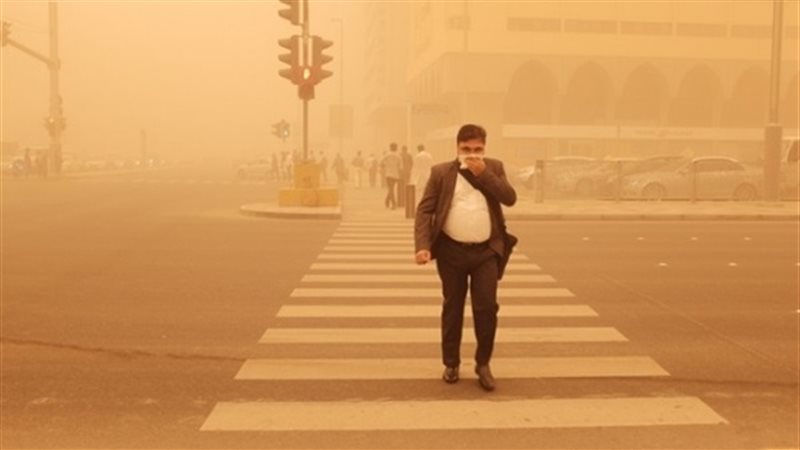 تحيا مصر