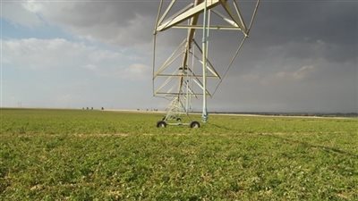 رئيس القطاع العام للتعاونيات يستعرض آليات تنفيذ استراتيجية مصر 2030