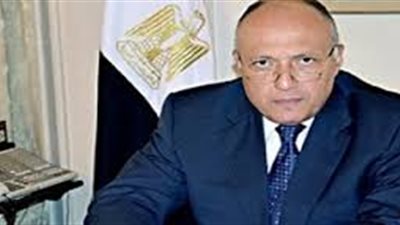 وزير الخارجية يلتقى اليوم وفد المحكمة الأفريقية لحقوق الانسان 