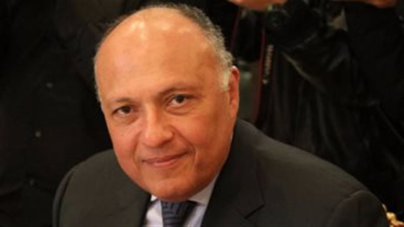 تحيا مصر