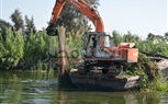 بالصور.. الوحدة المحلية بمركز المحمودية تقود حملة لإزالة الأقفاص السمكية بنهر النيل 