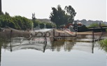 بالصور.. الوحدة المحلية بمركز المحمودية تقود حملة لإزالة الأقفاص السمكية بنهر النيل 