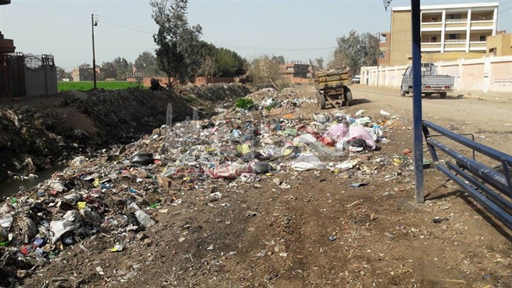 بالصور.. استبدال مناطق تجمع القمامة بأحواض زهور في سنطة الغربية 